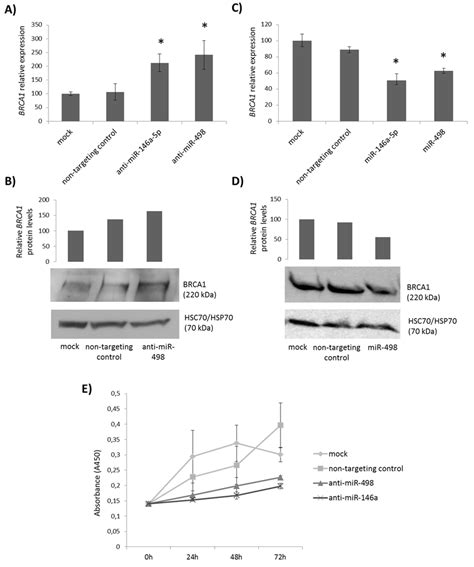 Effect Of Mir Expression And Inhibition On Brca Expression And