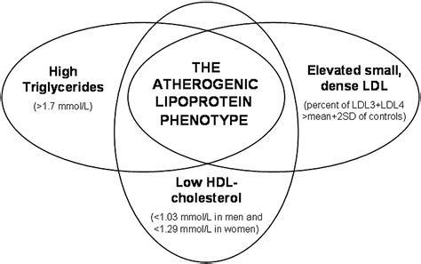 Atherogenic Dyslipidemia And Oxidative Stress A New Look