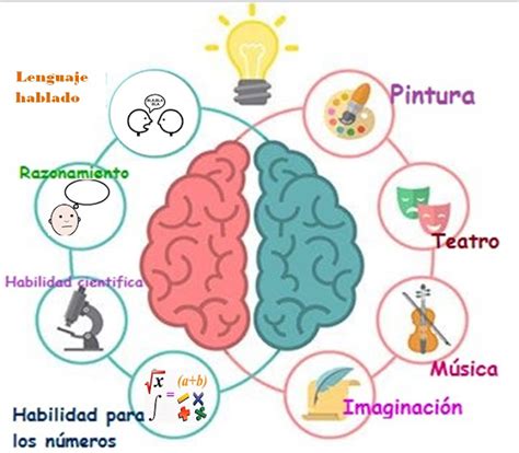 Hemisferios Cerebrales Y Sus Funciones