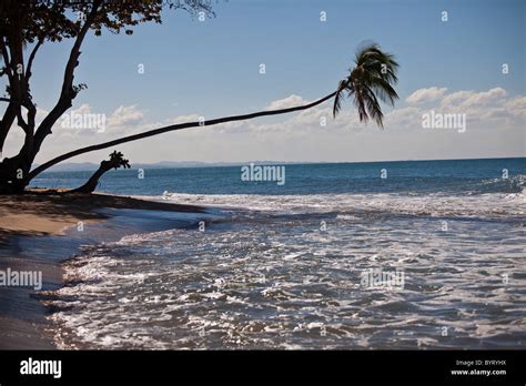 Steps Beach In Rincon Puerto Rico Stock Photo Alamy