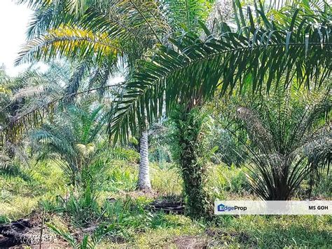 Pontianmukim Rimba Terjunkampung Tenggayun For Sale Rm600000 By Ms