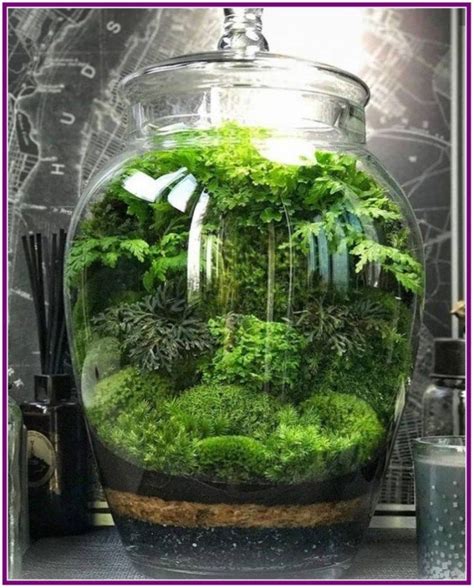 26 Terrariums Beautiful Enclosed Gardens You Can Build At Home 00001 Garden Terrarium