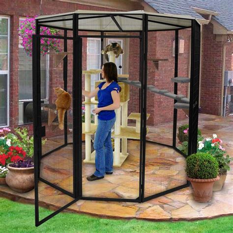 Popup Window 655816 Cat Enclosure Outdoor Cat Enclosure Outdoor Cats