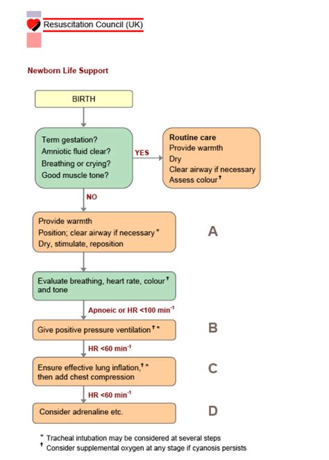 Newborn Life Support Resuscitation Council Uk With Permission