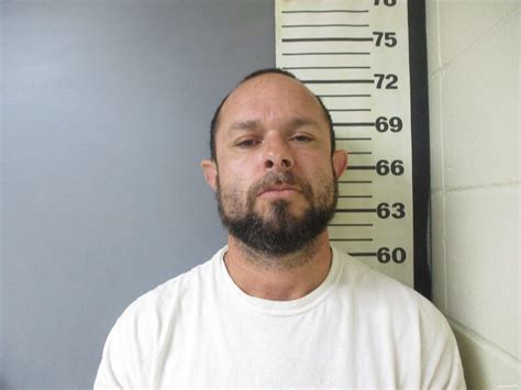 Mugshots Zone Champaign Ilstatistics