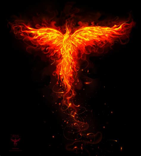 Phoenix orange flames ver by amorphisss on DeviantArt