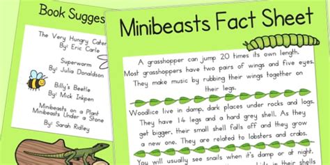 Minibeast Fact Sheet and Book Suggestions (Teacher-Made)