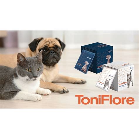 Covalis Toniflore chien soutien du système hépato digestif