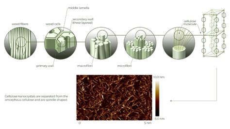 Nanocellulose Biorefineries A Biomaterial With Unparalleled