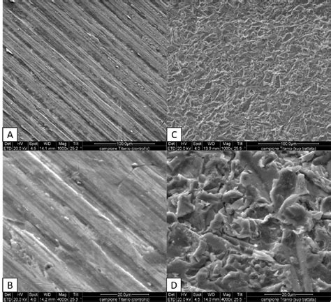 Morphology Of Titanium Surfaces Analyzed Under Scanning Electron