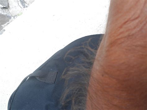 Girl With Very Hairy Arms Porn Pictures XXX Photos Sex Images 1304605 PICTOA