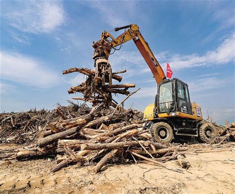 齐心协力开展灾后恢复重建