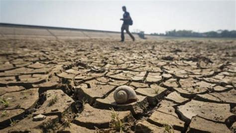 Dampak El Nino Mulai Terasa Sejumlah Wilayah Di Tangerang Kekeringan