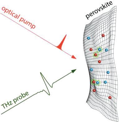 Advanced Optical Materials X Mol