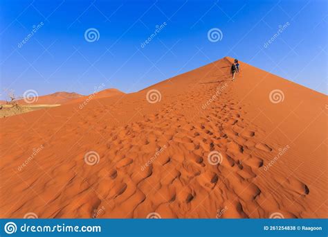 Turista En La Famosa Duna El Parque Nacional Namibnaukluft De