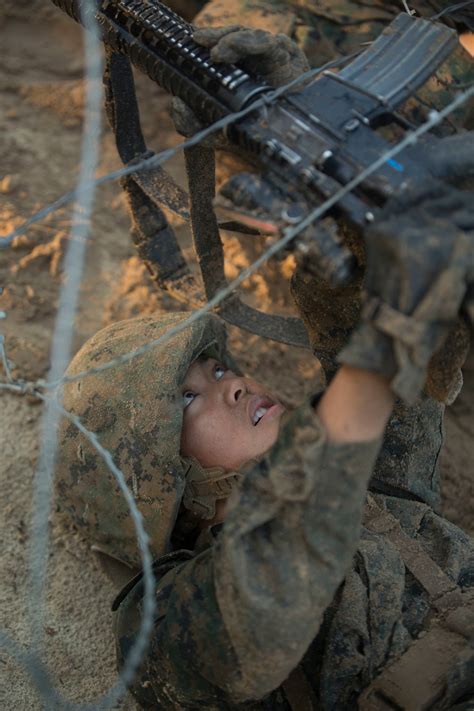 Dvids Images Photo Gallery Marine Recruits Charge Through Parris Island Combat Training