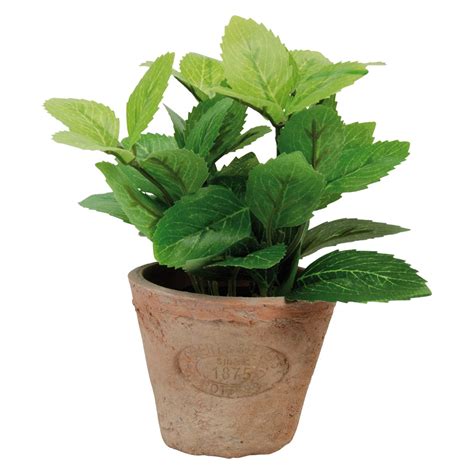 Finta Pianta Di Menta In Vaso S Naturdecor