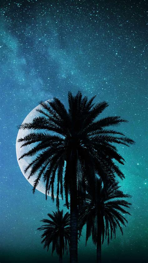 Palm Trees And Moon Iphone Wallpaper Iphone Wallpapers