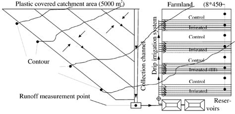 Schematic Diagram Of Demonstration Rwh System Download Scientific Diagram