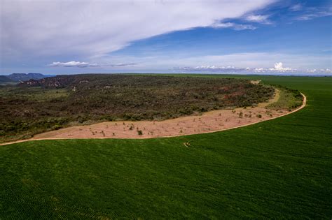 Mais De Milh O De M De Restaurados Em Reas Agr Colas Do Oeste