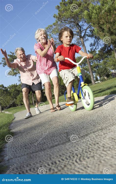 Grandparents Teaching Grandchildren To Ride Bikes In Park Royalty Free