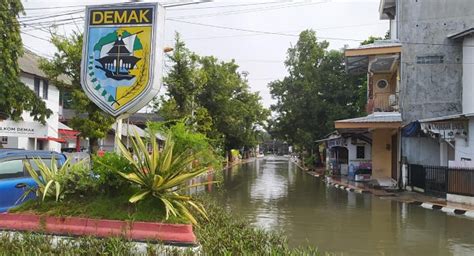 Desa Di Demak Terendam Banjir Ribu Kepala Keluarga Mengungsi