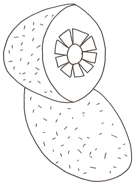 coloriage d un kiwi Tête à modeler