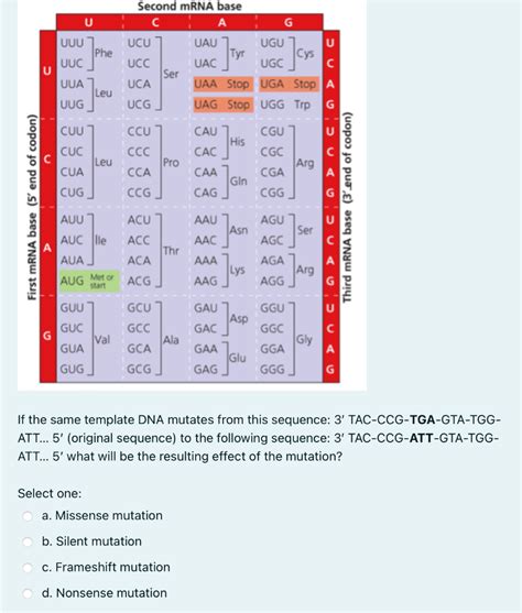 Solved Second Mrna Base С U บบบ Ucu Phe Uuc Ucc Ser Uau Ugu