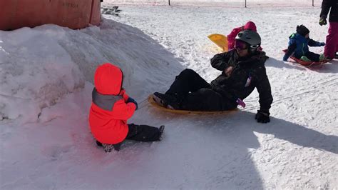 Sledding In Korea Youtube