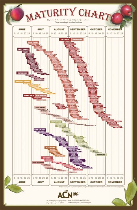 Adams County Nursery Fruit Maturity Chart For Clear Picture http://www.acnursery.com/maturity ...