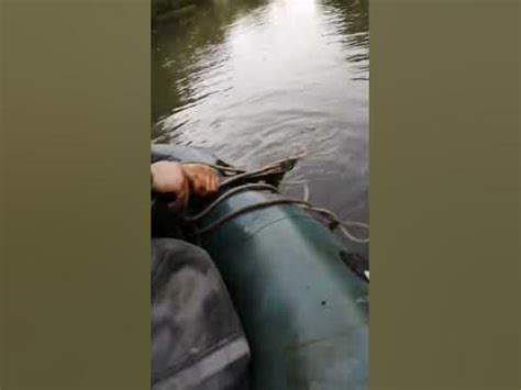 #магнит #магнитнаярыбалка #магнитнаходки #рыбалка - YouTube