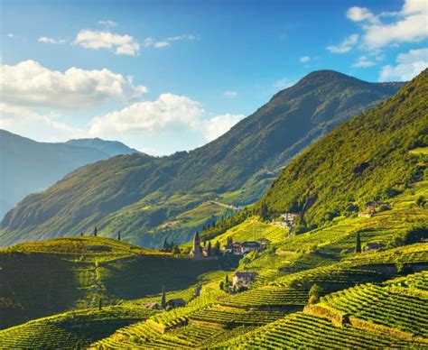 A Guide To The Best Wines Of Northern Italy Drinkstack