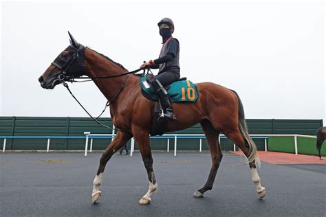 土曜メインレースの注目激走馬函館11r函館2歳ステークス・g3 2024年7月13日掲載 ライブドアニュース