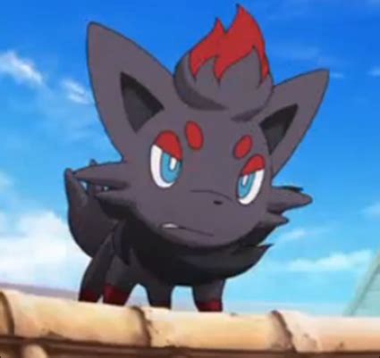 Zorua - Zorua Image (19559878) - Fanpop