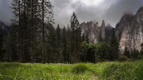 What Does Yosemite - Nationalparklore.com