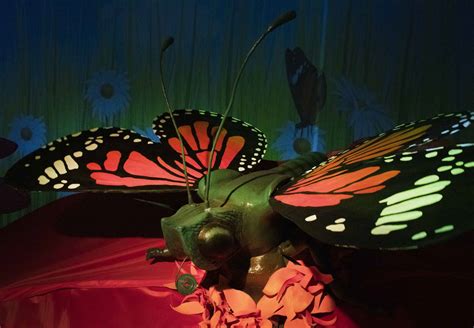 Un Museo De Insectos Y Figuras Animatrónicas De Más De Cinco Metros