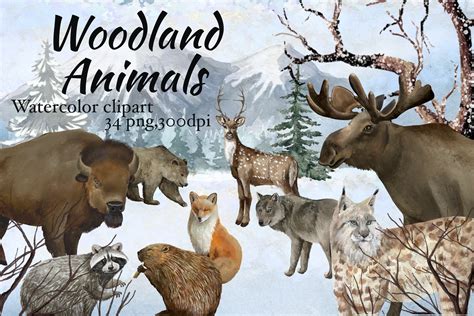 Woodland animals, winter forest – MasterBundles