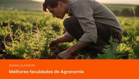 Descubra quais são as melhores faculdades de Agronomia do Brasil PRAVALER