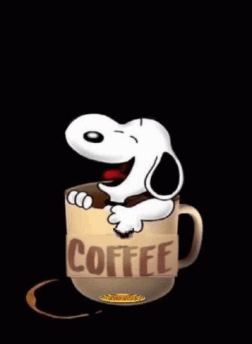 Tuesday Coffee Tuesday Coffee Discover Share Gifs