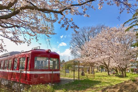 第一運動公園見る遊ぶ公式逗子市 観光ワーケーションサイト 逗子旅