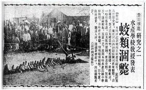 龙真的不存在吗？1934年营口坠龙事件 知乎