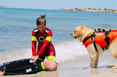 I Cani Bagnino In Azione A Mondello Prove Di Salvataggio In Mare