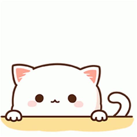 Mochi Peach Sticker Mochi Peach Cat Discover Share GIFs Cute