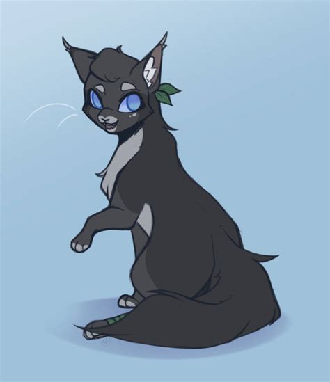 Cinderpelt By Pinkdolphin147 On Deviantart