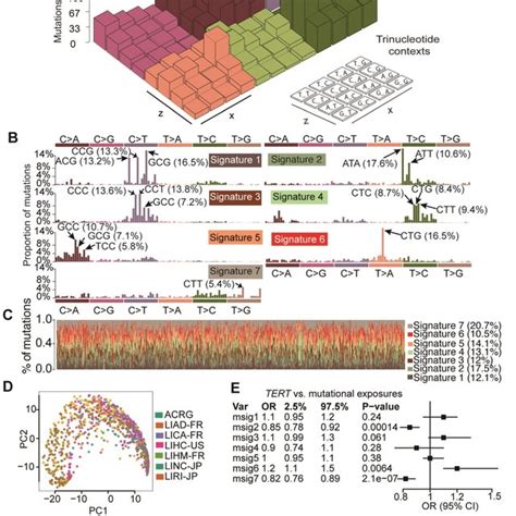 Mutation Signatures Operative In Hcc And Their Correlation With Gene