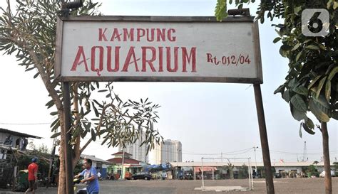 Foto Melihat Lebih Dekat Kehidupan Warga Kampung Akuarium Foto