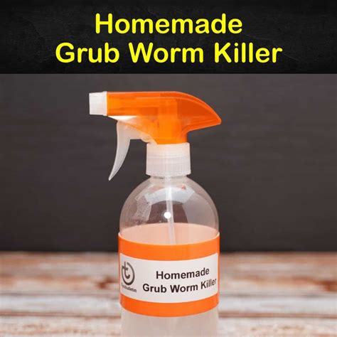 Killing Grub Worms Naturally - 10 Homemade Grub Worm Killer Tips