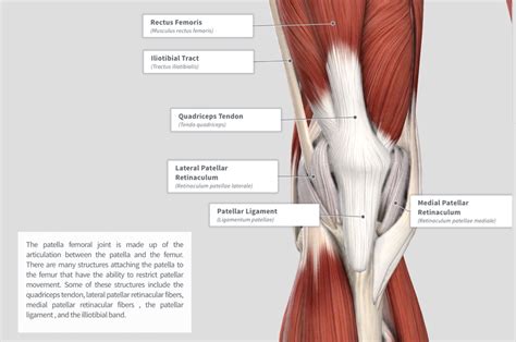 Patellofemoral Pain Syndrome PhysioU