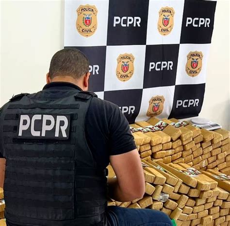 Após denúncia anônima PCPR realiza operação e apreende 390 kg de