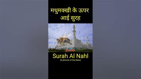 Surah Al Nahl With Urdu Translation । Surah Al Nahl । Surah Al Nahl With Urdu Translation Status